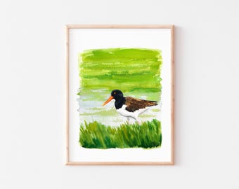 American Oystercatcher Watercolor Painting: Coastal Bird Art Print
