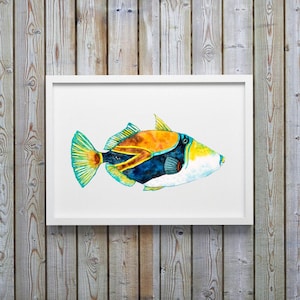 Trigger Fish Art Print Hawaiian Fish or Tropical Decor aka Humuhumunukunukuapua&#39;a