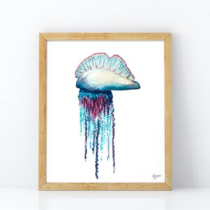 Portuguese Man O War, Jellyfish Painting, Jellyfish Art, Ocean Wall Art, Sea Life Art image 5