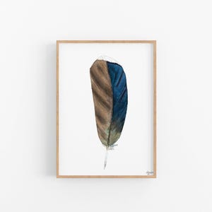 Wood Duck Feather Watercolor Painting: Fine Art Print