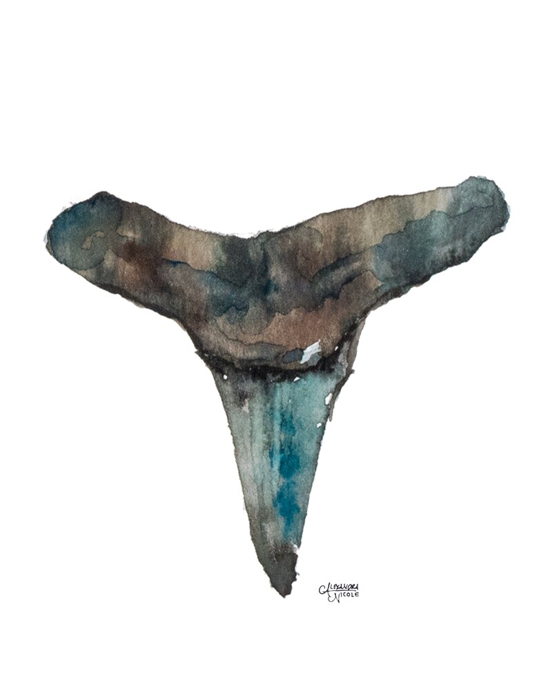 Lemon Shark Tooth Watercolor Art Print For Minimalist Home Decor, No. 3 image 3