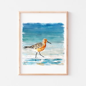 Red Knot, Shorebird Watercolor Print, Coastal Bird Art, Bird Watercolor, Coastal Artwork