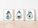 Art Print Set, Oyster Painting, Discounted Prints, Gallery Wall Art, Oyster Art, Coastal Art, Beach House Decor, Unframed 