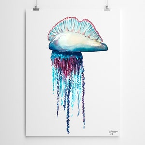 Portuguese Man O War, Jellyfish Painting, Jellyfish Art, Ocean Wall Art, Sea Life Art image 2