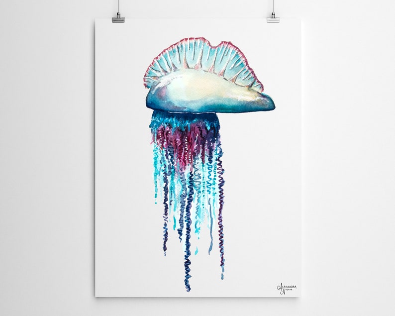 Portuguese Man O War, Jellyfish Painting, Jellyfish Art, Ocean Wall Art, Sea Life Art image 2