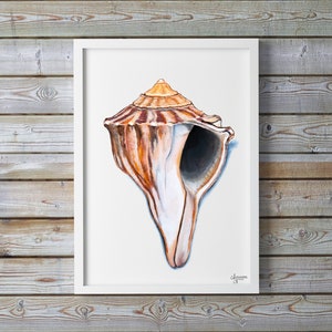 Knobbed Whelk Painting, Seashell Wall Art, Watercolor Shell print, Sea Shell Art, Coastal Wall Art image 7