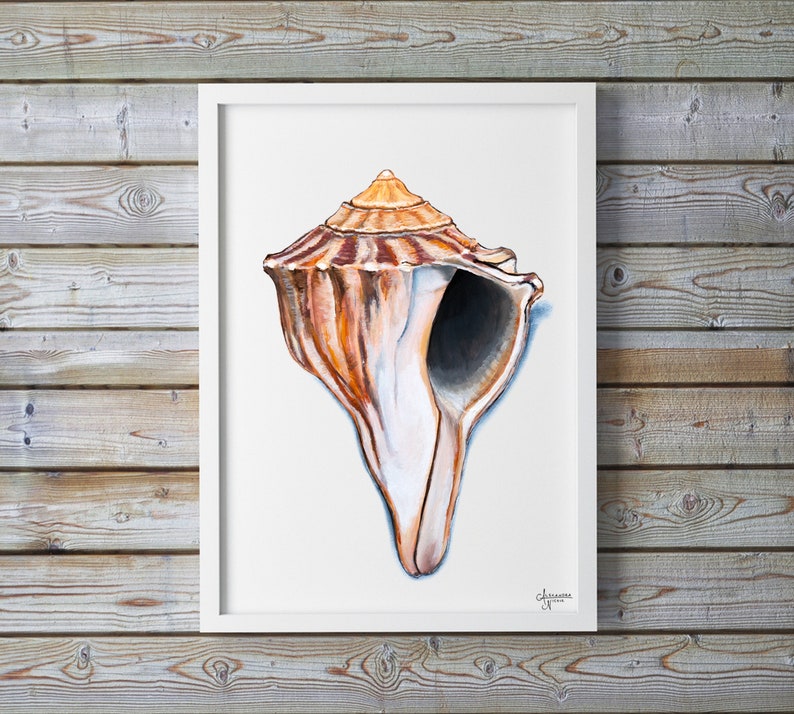 Knobbed Whelk Painting, Seashell Wall Art, Watercolor Shell print, Sea Shell Art, Coastal Wall Art image 7