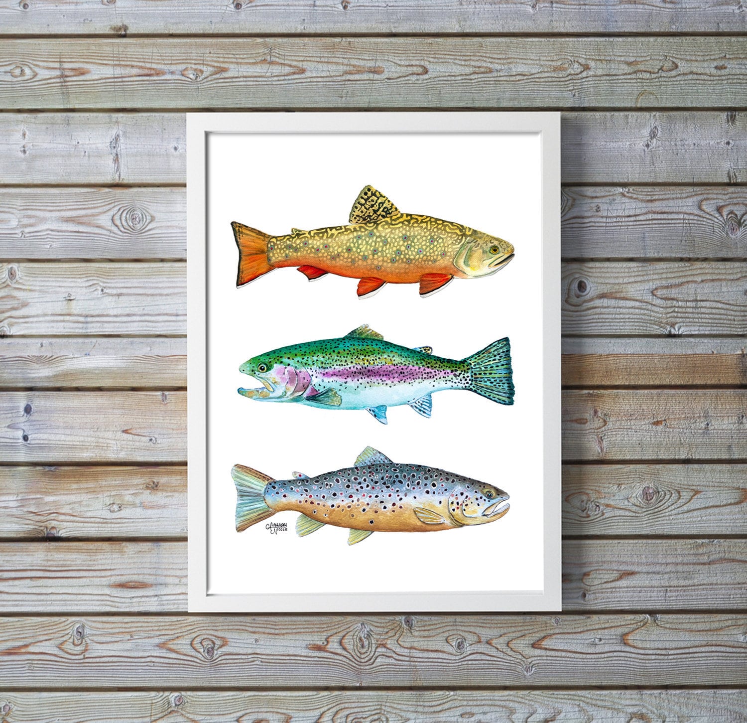 Trout Art Print Brook Trout Brown Trout Rainbow Trout Fish Etsy