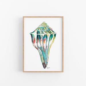 Knobbed Whelk Watercolor Print: Coastal Sea Shell Art