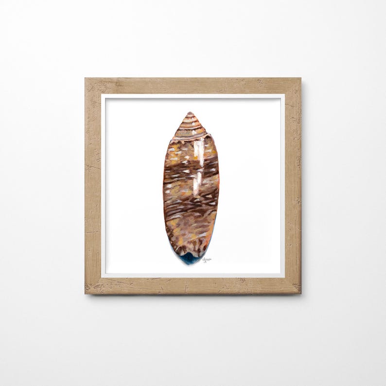Lettered Olive Shell Print: Coastal Beach House Wall Art - Etsy
