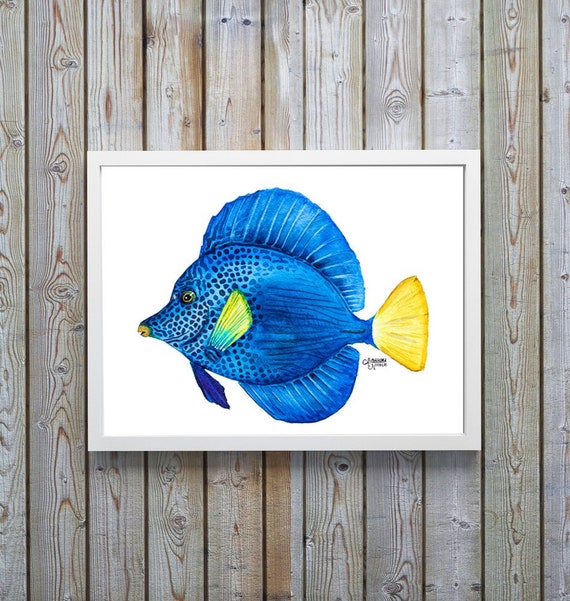 worldwide tropical fish