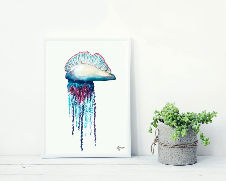 Portuguese Man O War, Jellyfish Painting, Jellyfish Art, Ocean Wall Art, Sea Life Art image 6