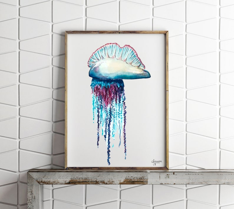Portuguese Man O War, Jellyfish Painting, Jellyfish Art, Ocean Wall Art, Sea Life Art image 4