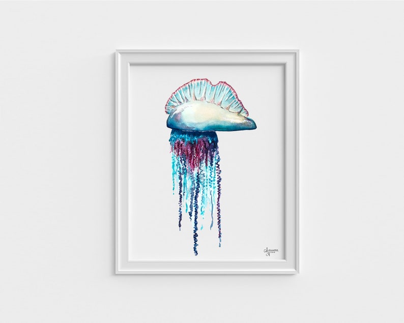 Portuguese Man O War, Jellyfish Painting, Jellyfish Art, Ocean Wall Art, Sea Life Art image 7