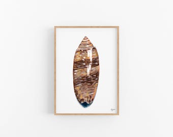 Lettered Olive Shell Print: Coastal Beach House Wall Art