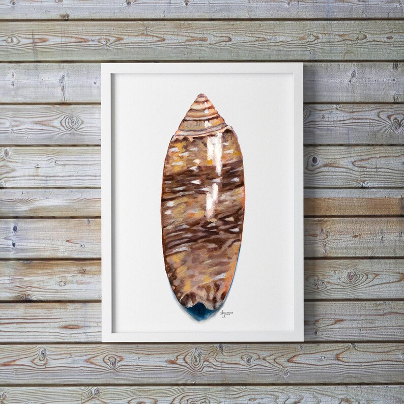 Lettered Olive Shell Print: Coastal Beach House Wall Art - Etsy