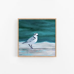 Snowy Plover Art, Plover Painting, Shorebird Art, Coastal Bird Art, Shore birds Coastal Art Print