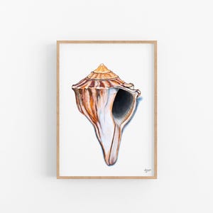 Knobbed Whelk Painting: Coastal Seashell Art Print