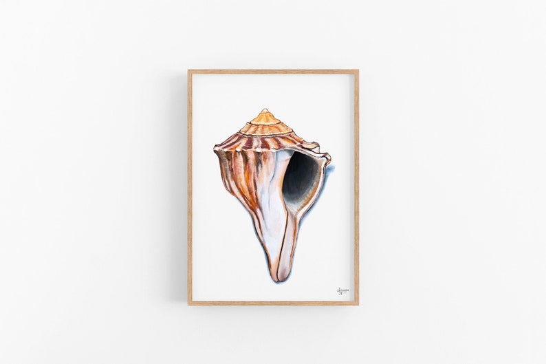 Knobbed Whelk Painting, Seashell Wall Art, Watercolor Shell print, Sea Shell Art, Coastal Wall Art image 1