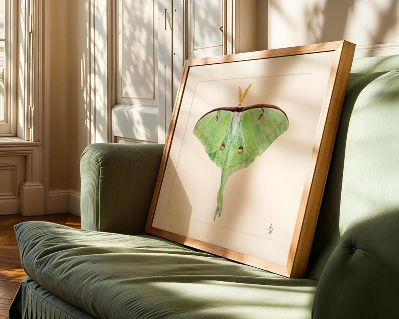 Luna Moth Fine Art Print – Nature Illustration, Green Insect Wall Art ...