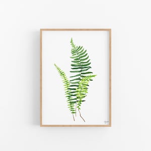 Watercolor Fern Print, Fern Painting, Botanical Art, Plant Wall Art, Botanical Illustration, Botanical Print, Botanical Wall Art