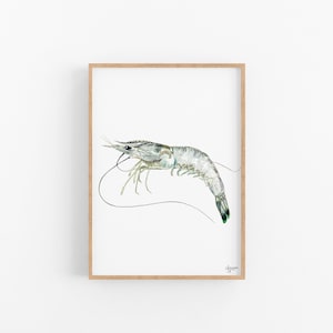 Shrimp Print, Shrimp Watercolor, Shrimp Art