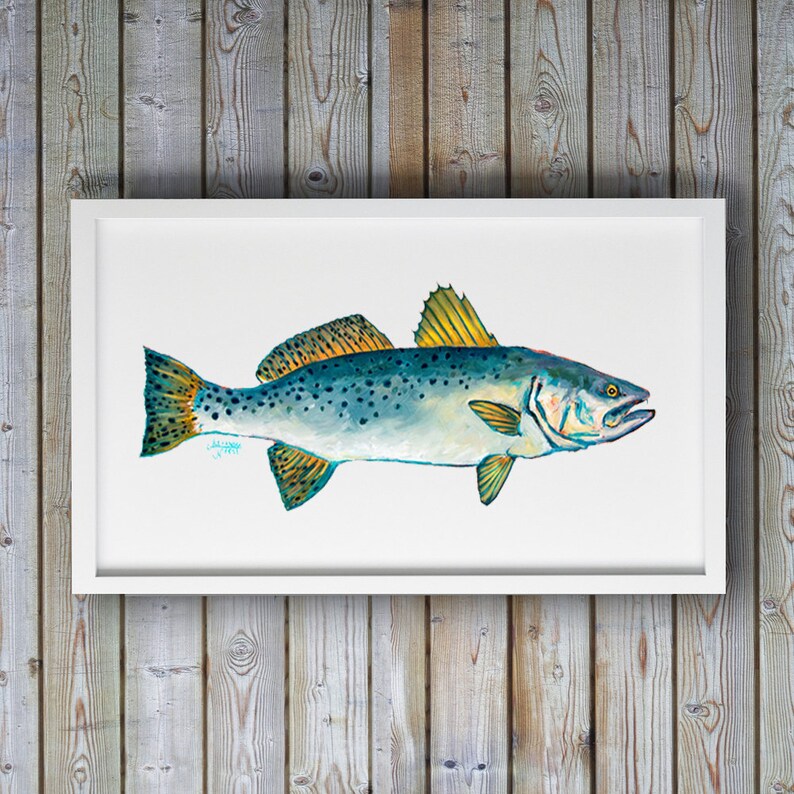 Trout Art Fish Wall Decor Sea Trout Fish Print Sea Life Etsy