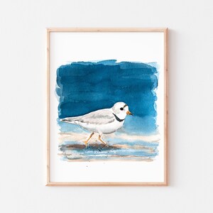 Piping Plover, Plover Painting, Shore Bird Art, Coastal Bird Artwork, Bird Watercolor, Bird Art