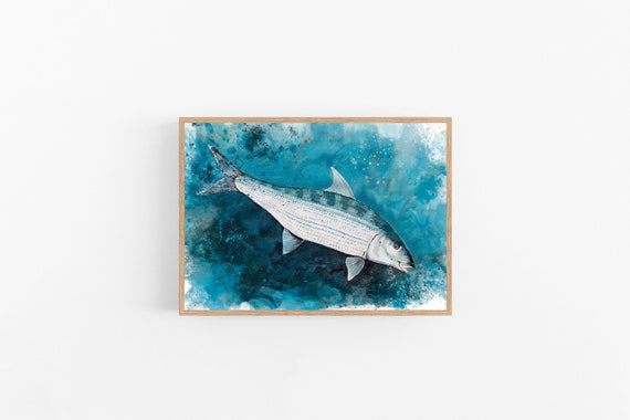 Bonefish Art, Fly Fishing Art, Fish Art, Fish Prints, Saltwater