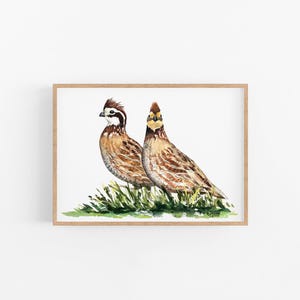 Quail Art Print, Quail Painting, Bobwhite Quail, Quail Watercolor Painting, Bird Painting, Gifts for Him, Hunting Gifts for Him, Fathers Day