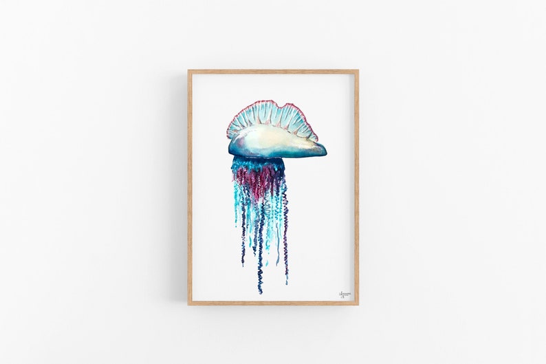 Portuguese Man O War, Jellyfish Painting, Jellyfish Art, Ocean Wall Art, Sea Life Art image 1