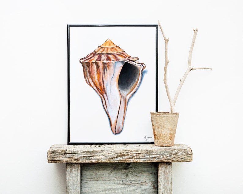 Knobbed Whelk Painting, Seashell Wall Art, Watercolor Shell print, Sea Shell Art, Coastal Wall Art image 6