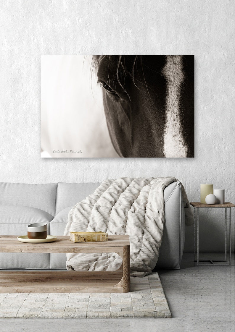 Black And White Print Ready To Hang Equine Photography Horse Eyes Barn Animals Canvas Wrap Country Living Horse Photography Urns Memorials Pet Supplies Vadel Com