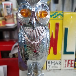 Owl Albuquerque Handmade License Plate Wall Art, One of a Kind Original