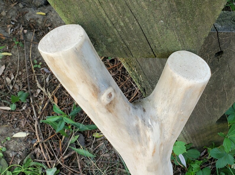 Weeping Willow Wood YShaped Piece Branch 5 for Woodworking Etsy