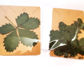 Natural Cinquefoil/Five Finger Grass/Potentilla-Dried for Amulet, Charm Making, Altars, etc  Lot 3