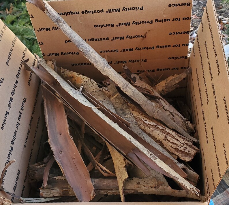Weeping Willow Bark Box Lot-1/16 Thick up to 12 | Etsy