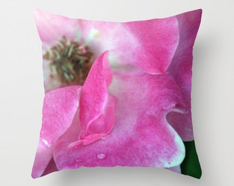 Pink Rose, pillow or cover   home decoration, flower, white, pink, fuchsia,floral,country living,interior design, macro, rose