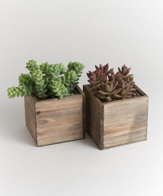 Urban Living Wood Box Succulent Wedding Centerpiece Table Image 0