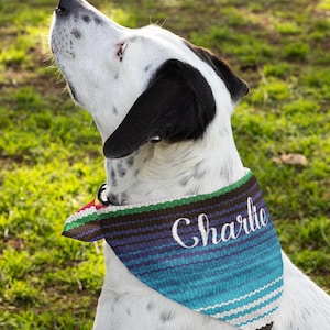 Personalisiertes Hundehalstuch mit passendem Roben-Muster