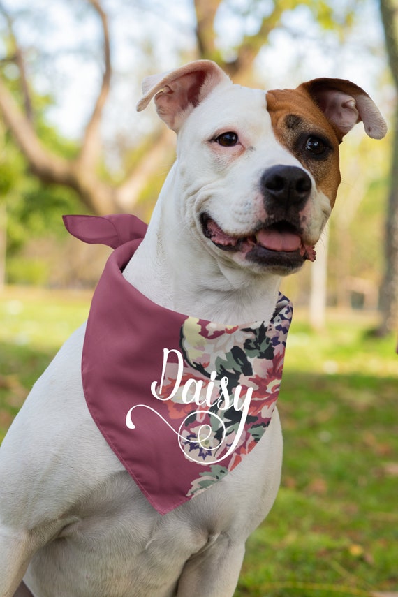 Pet Supplies Dog Collar Dog Bandana Storage Loyal Dog Bandana Red