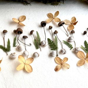 Black small tiny mushrooms Mushrooms for resin 60 pcs Dried fungus Rustic décor Mini shells for craft projects 30 pcs Miniature Fairy garden