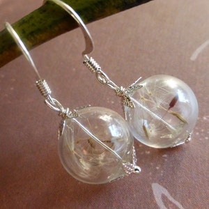 Real dandelion jewelry Wild flower earrings Botanical jewelry Glass globe earrings Bridesmaid gift idea Nature wedding gift Gift for her