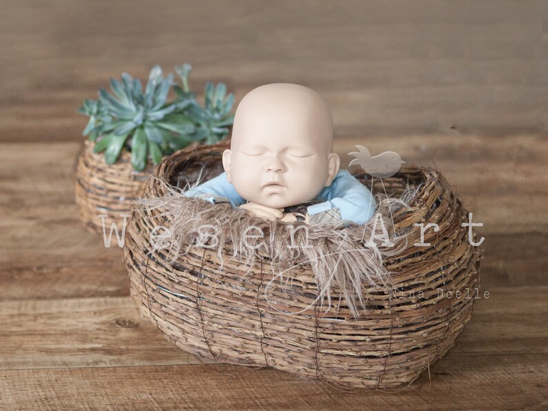 basket for baby shoot