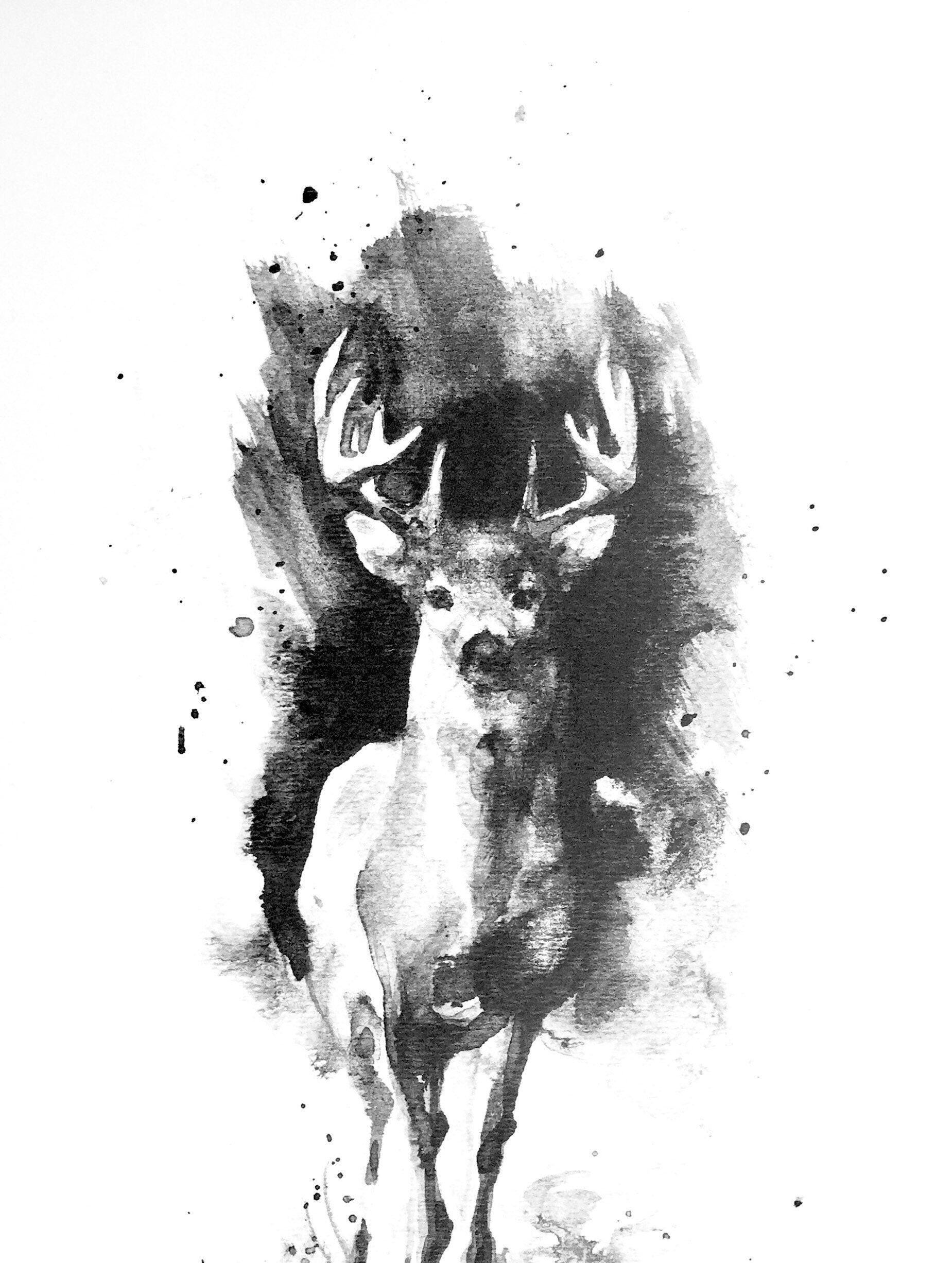 Stag Buck Deer Art Print Animal Art Kids Animal Prints | Etsy