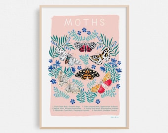 Moths Natural History Print, Insect Print, Moths Poster, A4 or A3 Artists Print