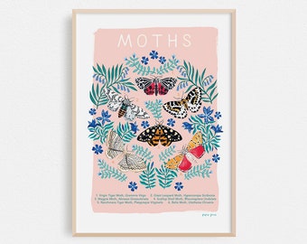 Moths Natural History Illustration Print