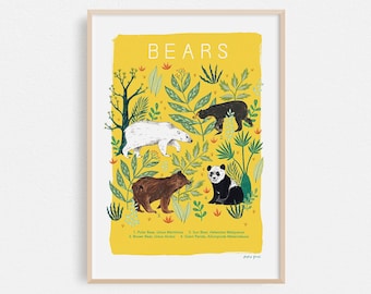 Bears Natural History Print // Animal Print A4 or A3 Artists Print