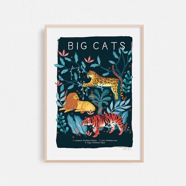 Big Cats Natural History Print, Animal A4 or A3 Artists Wall Art