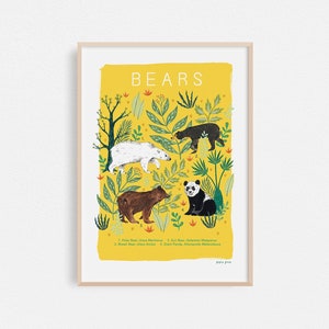 Bears Natural History Art Print: Animal Illustration